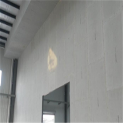 揭西宁波ALC板|EPS加气板隔墙与混凝土整浇联接的实验研讨